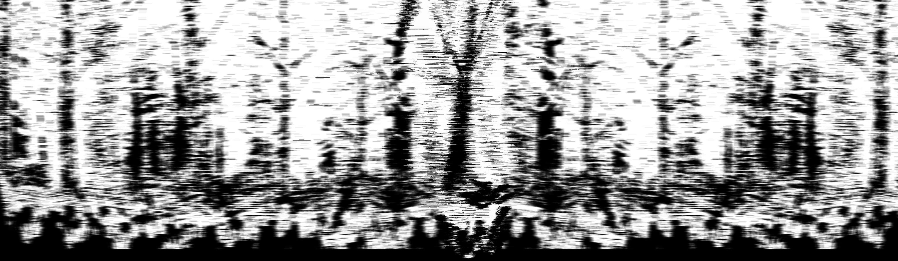 Incarnadine 2024 Looping